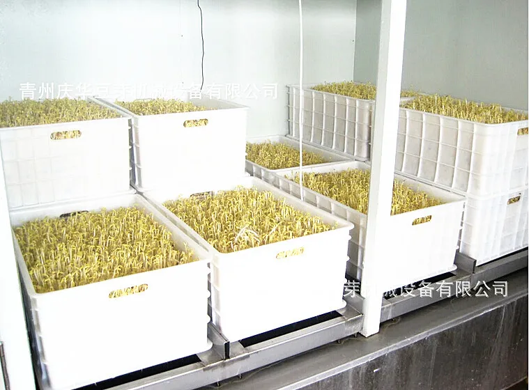 
Automatic Soya bean sprout growing machine Bean Sprout Machine Price 