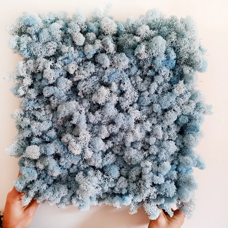 China Suppliers Natural Real Preserved Grass Wall Decoration Irish Moss Wall