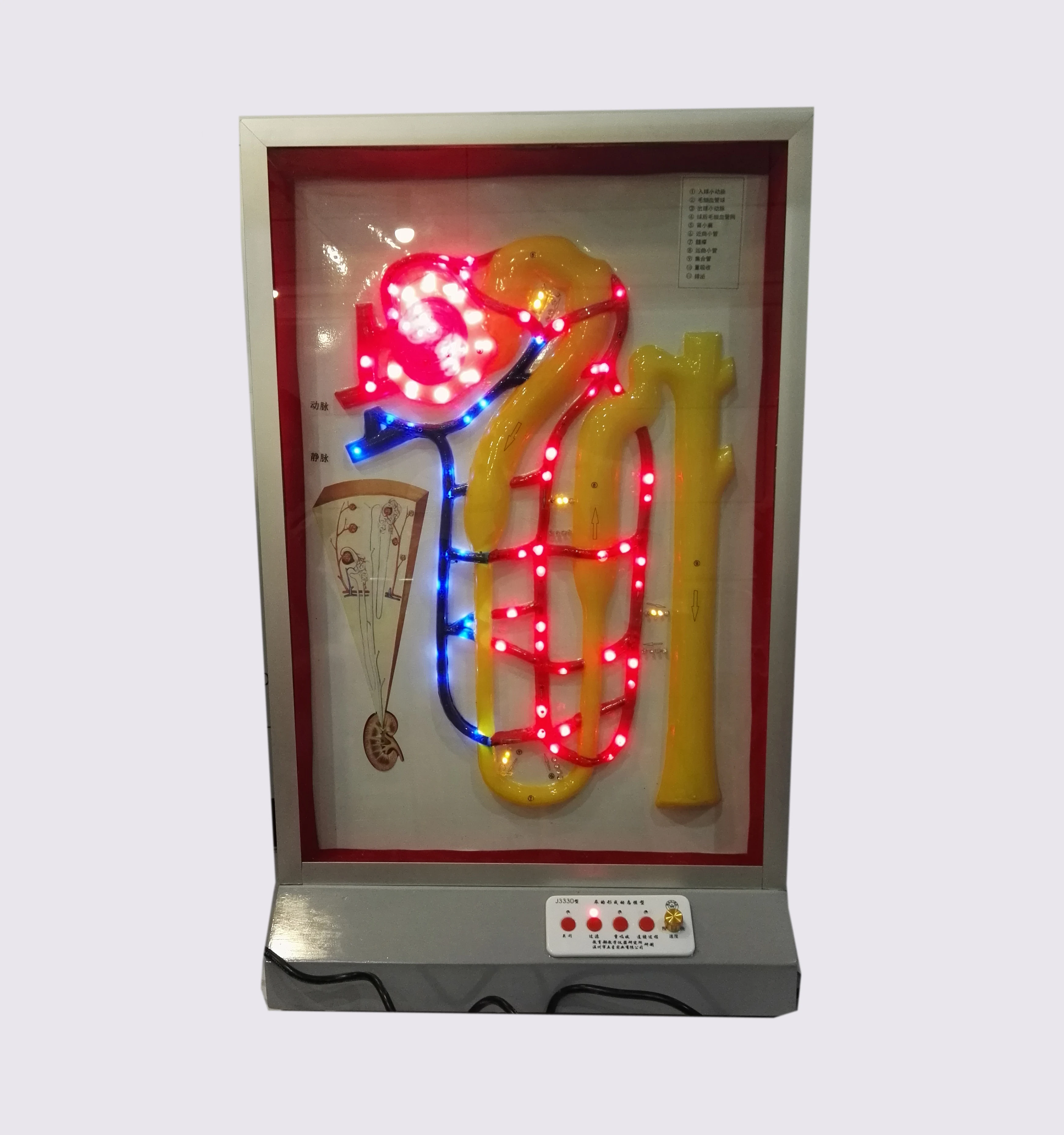 GelsonLab HSEM-002  Electrical Blood Circulation Model Electrical Model of heart pulse and blood circulation