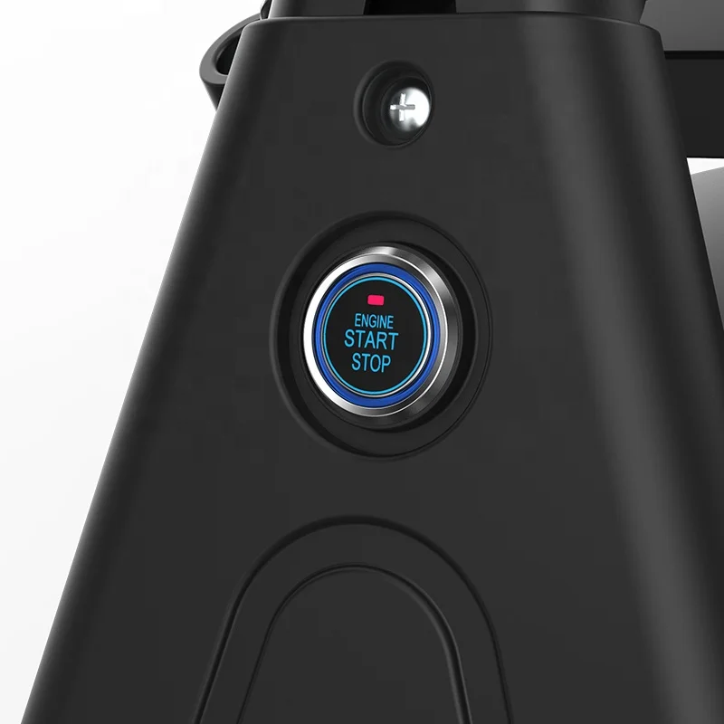 2 Big Wheels Removable Double Battery Electric Scooter 1000W