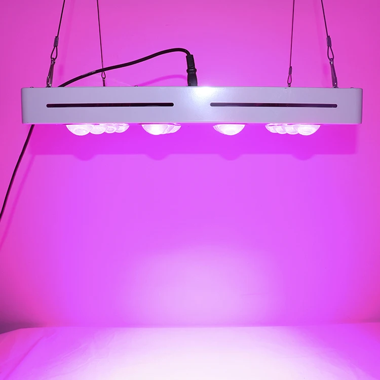 Growing Bulb Kits Indoor 800W Plant LED Grow Light For Plant Growth