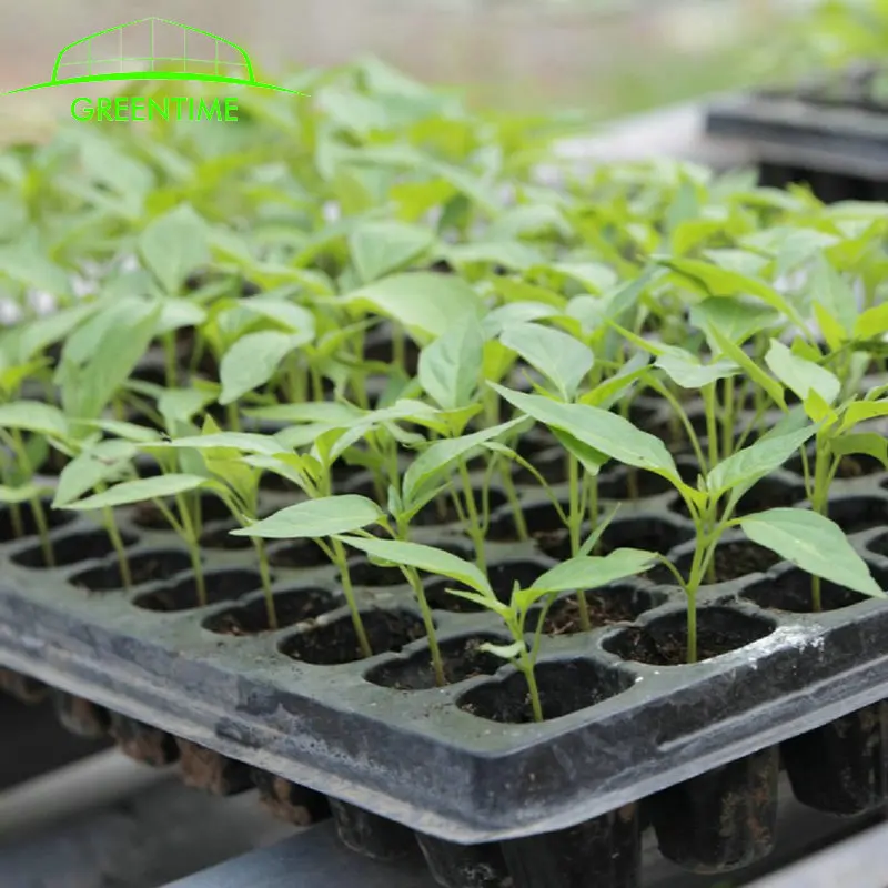 plastic plant vegetable nursery high quality seedling trays