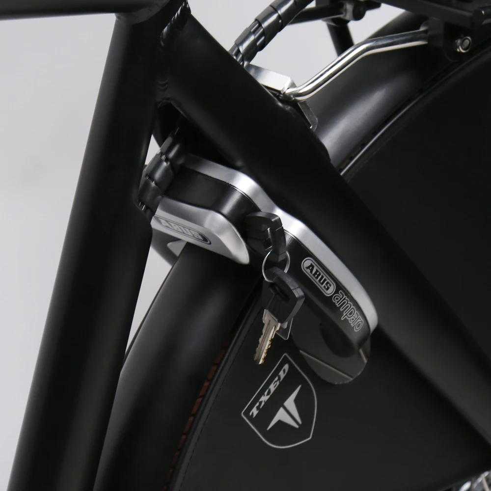 TXED Retro 250W cargo bike 2 wheel city e bicycle for women