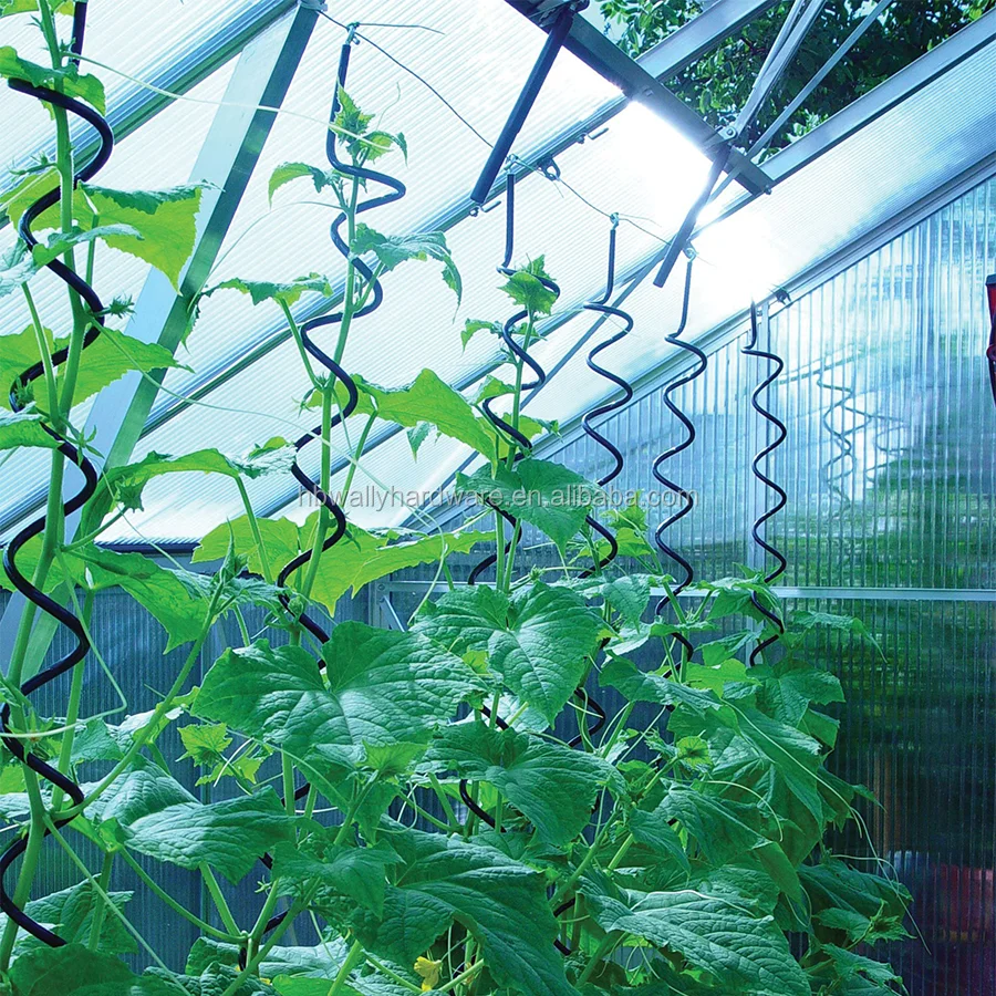 
7mm Galvanized Steel Spiral Tomato Support/Plant Support/Flower Holder 