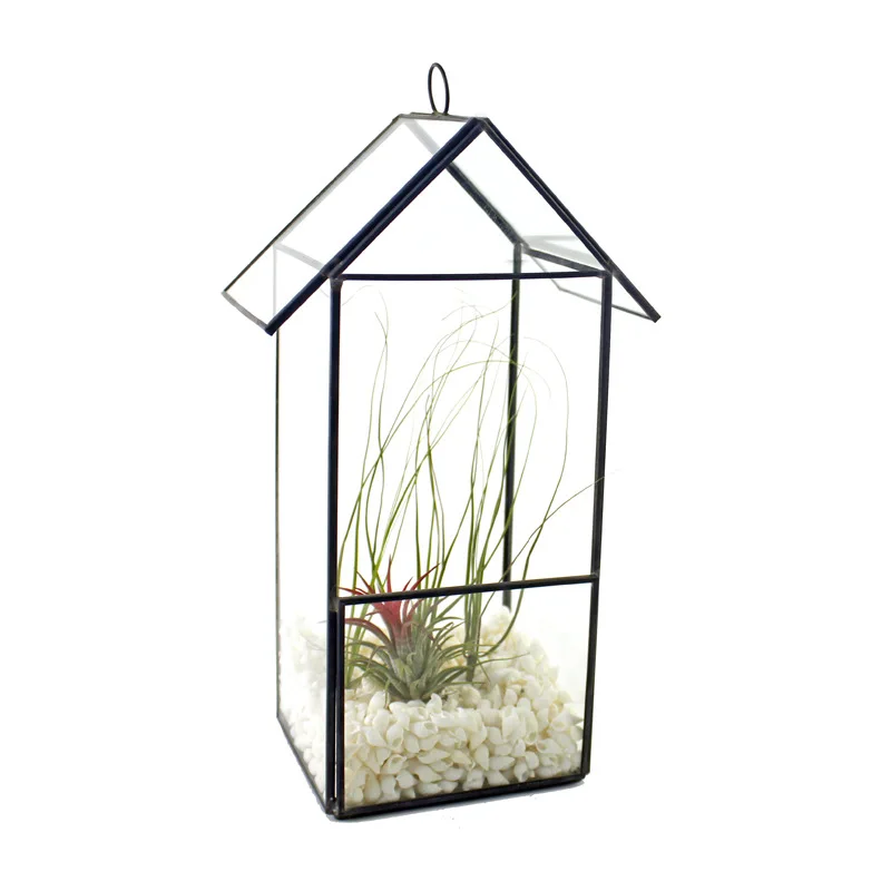 Tabletop Brass Frame Glass House Terrarium for Air Plant and Succulent Plant Display