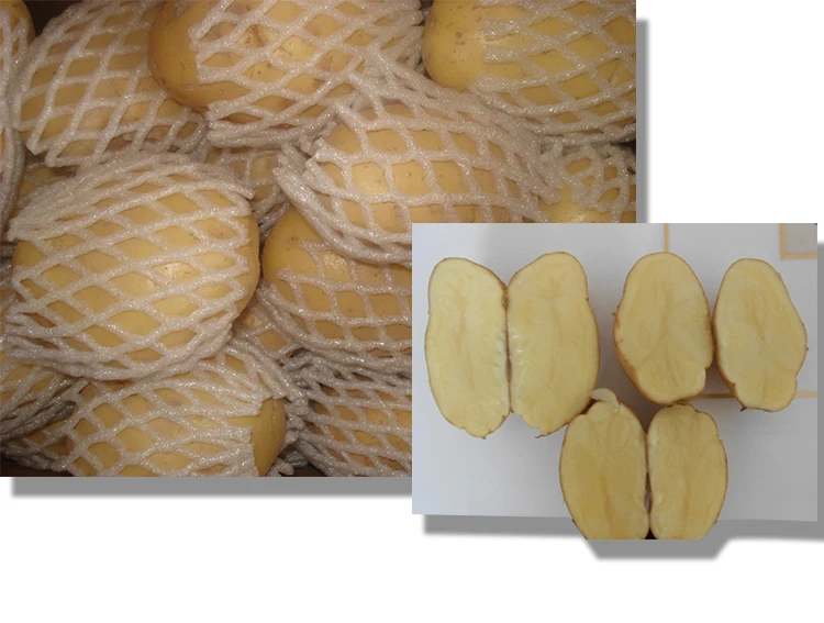  Китайский новый урожай 2019 свежий картофель по хорошей цене