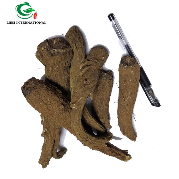 Травы для дизентерийного использования auckсоставлян костус