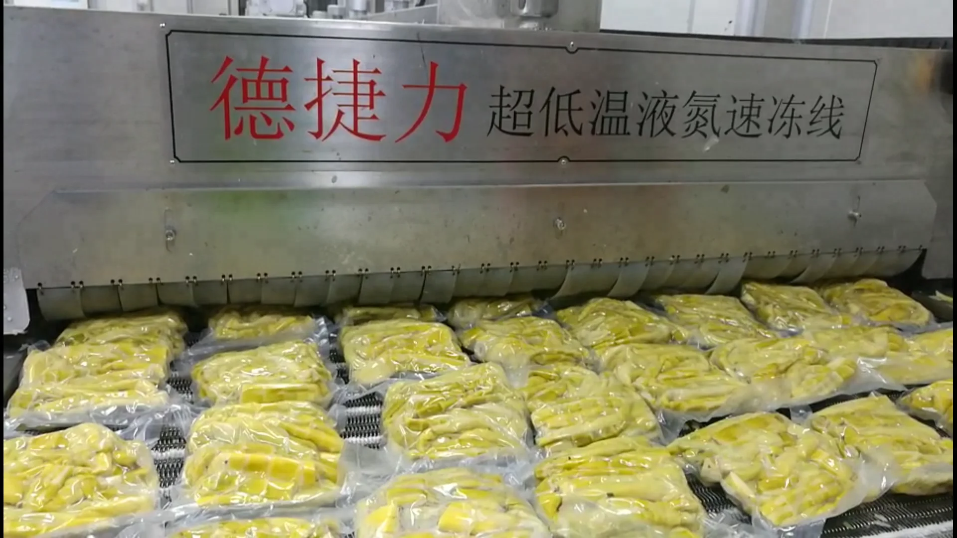 DJL морская пищевая машина для быстрого замораживания, конвейерная морозильная камера, морозильная камера для продажи, морозильник для ультра низкой температуры