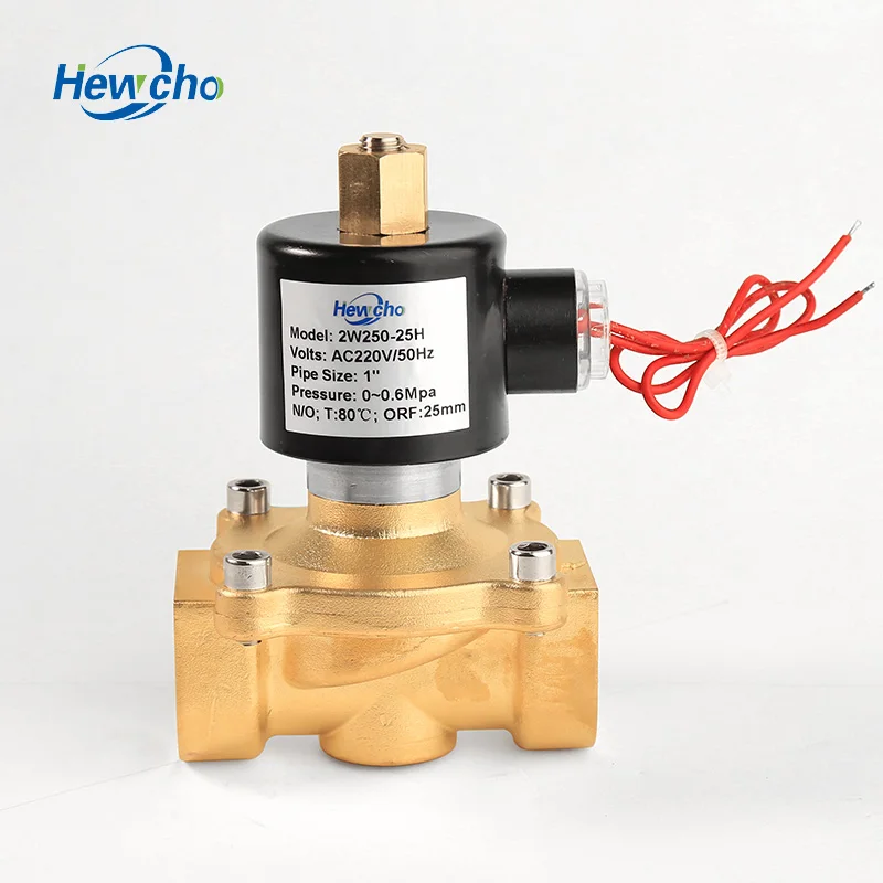 
2W250-25H 220V AC Brass Water1