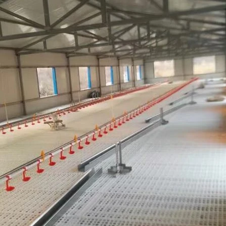 2019 wholesale plastic chicken floor/plastic product/plastic floor mat for poultry farm equipment