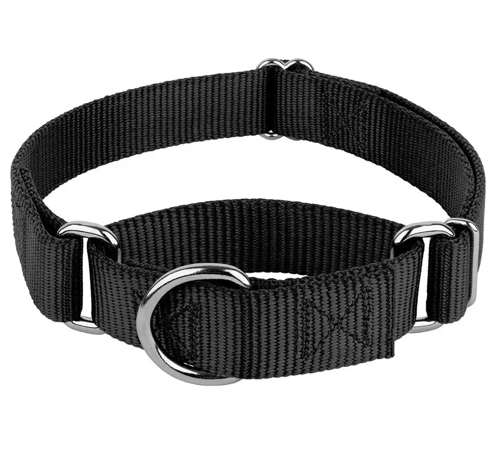 Pet Products Best Selling Webbing Adjustable Nylon Dog Accessories Collar Dog Martingale Collar
