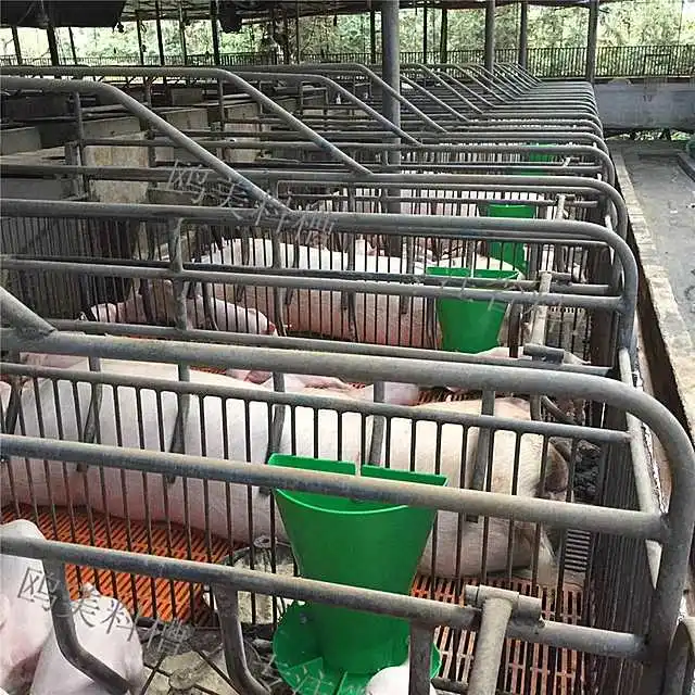 Pig Farm  Piglet Plastic  Feeder   Piglet  Trough