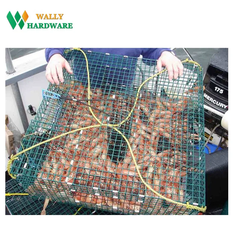 China factory high quality hot dipped galvanized crab fish lobster trap chicken wire mesh roll