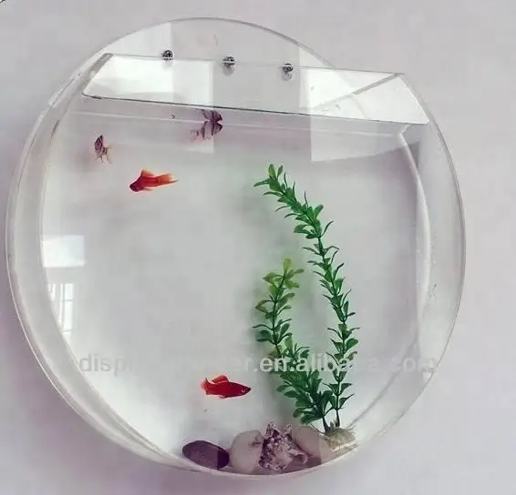 Wall mounted acrylic fish tank in semicircle