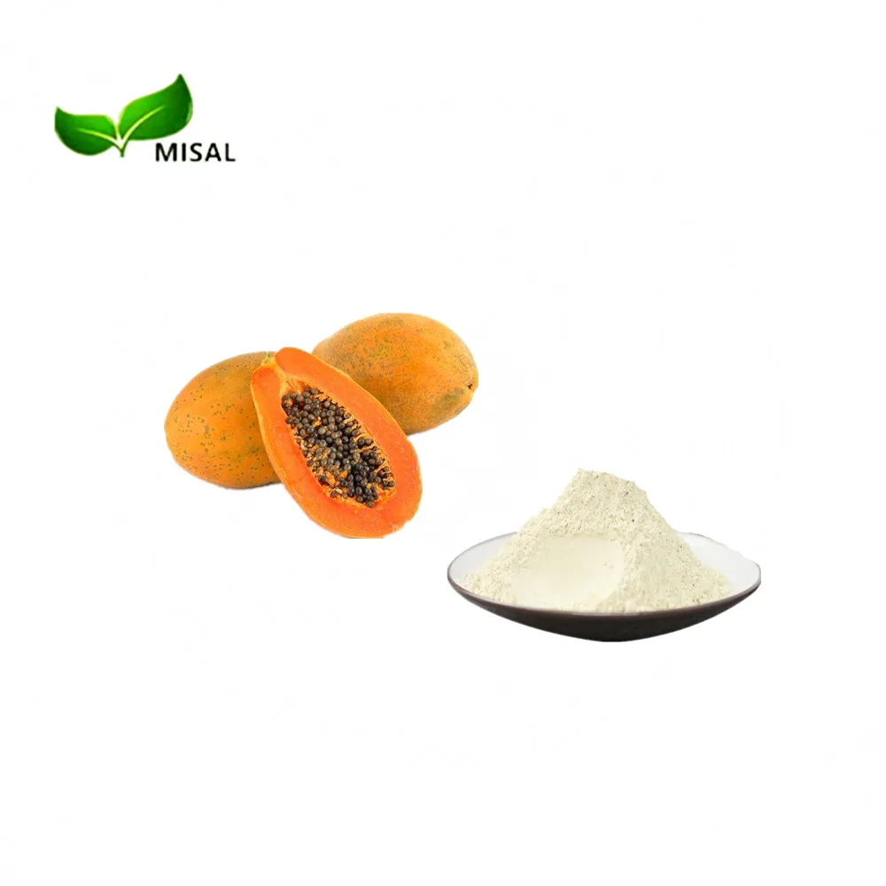 High quality bulk pure papaya extract / papain enzyme / papaya fruit extract