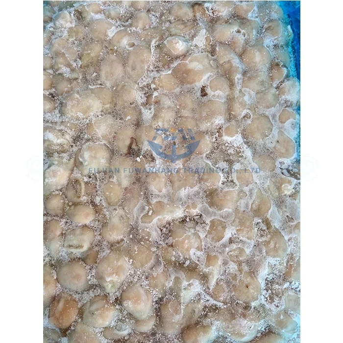 
Frozen Squid Mouth Giant Squid Beak for processing 