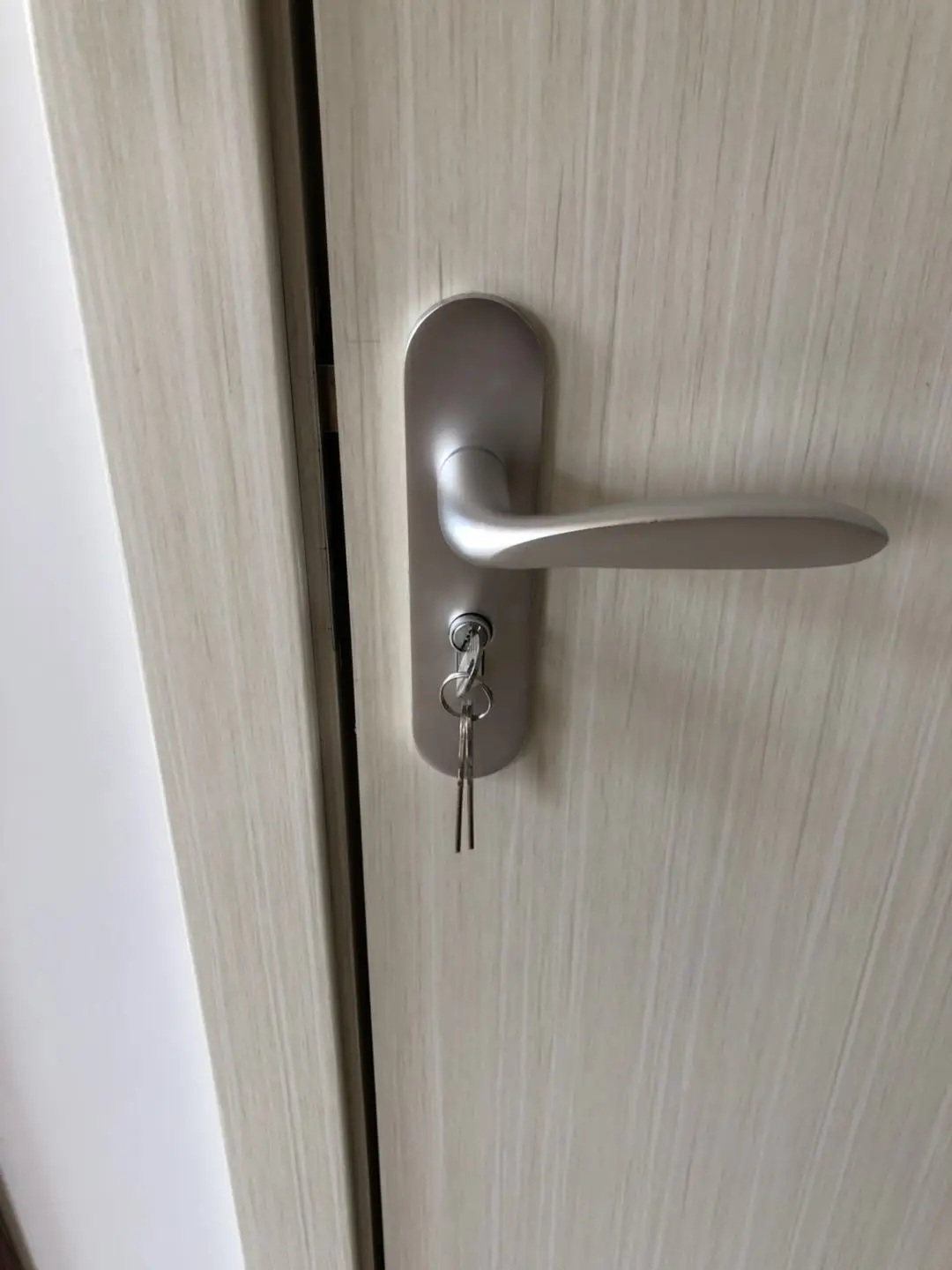 
2019 New Design MDF Door 