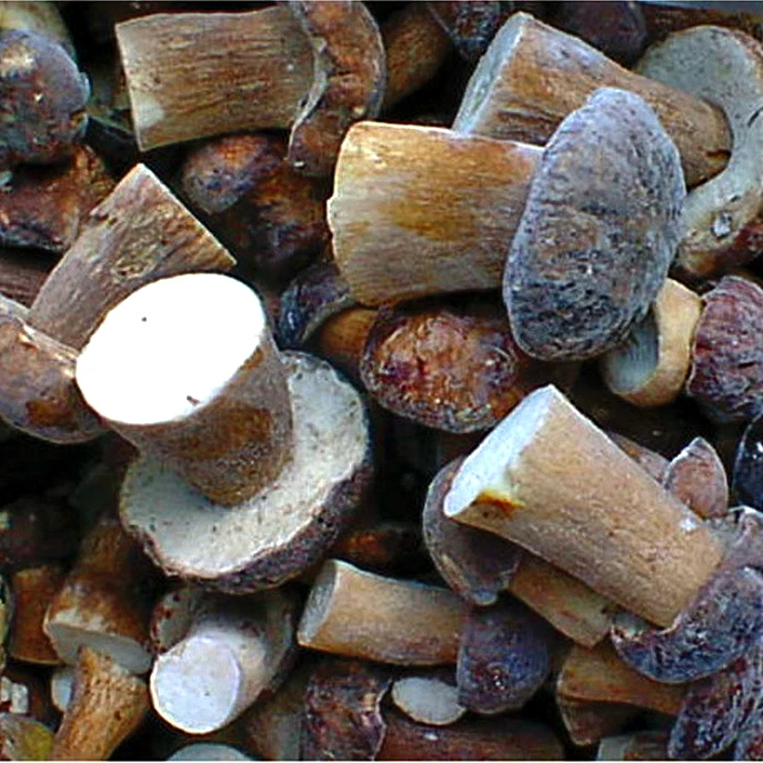 
IQF Porcini Whole with Cheap Price 