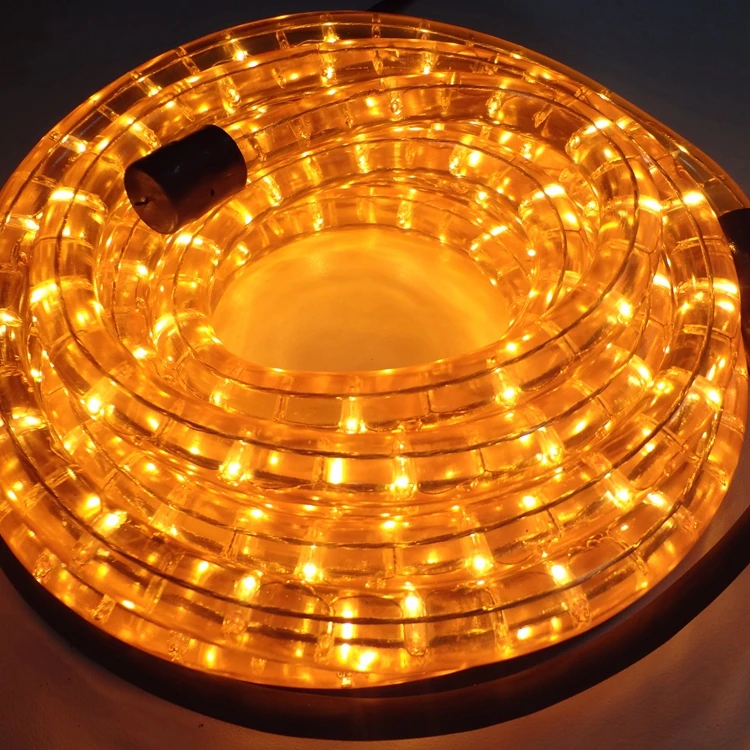 2020 PVC Super Bright  Quick Connect Wire New Style Led Rope Light With Remote Neon Rope Light Dmx Controlled Rope Light