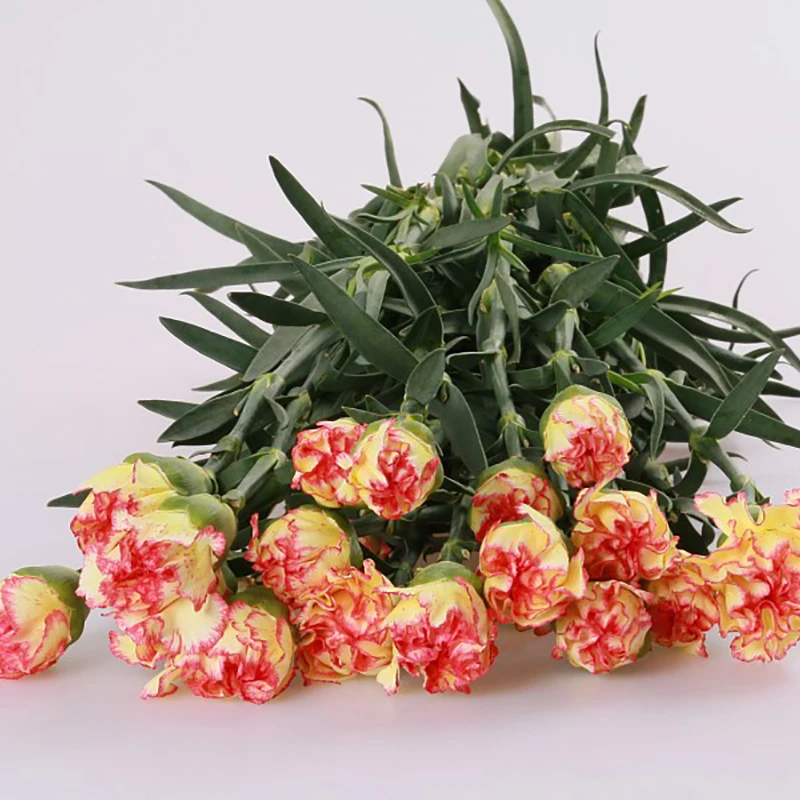 
Floral shop fresh flowers flower bouquet nature yellow carnation 
