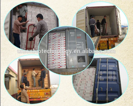 
High Quality Food Ingredients Custard Powder For Pudding With Competitive price and quality 