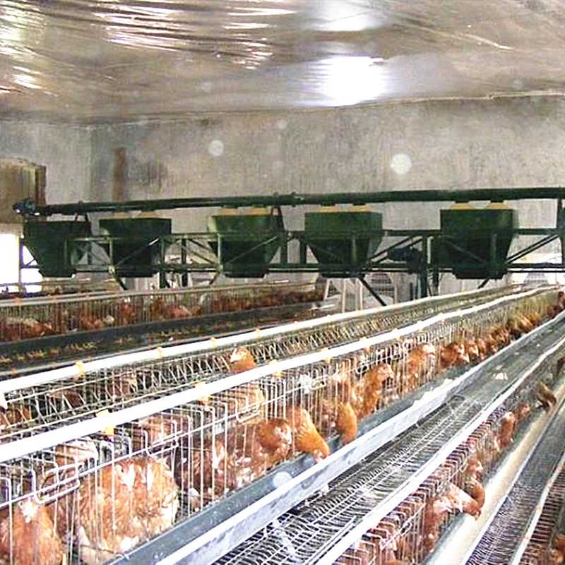 galvanized broiler chicken cage