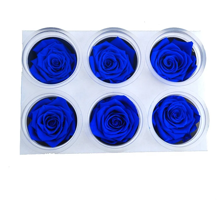 
Factory price best quality Soft Touch Natural Eternal Forever Immortal Preserved Roses 
