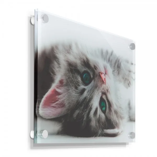 Modern Perspex Photo Frame Acrylic Floating Picture Frame Wholesale