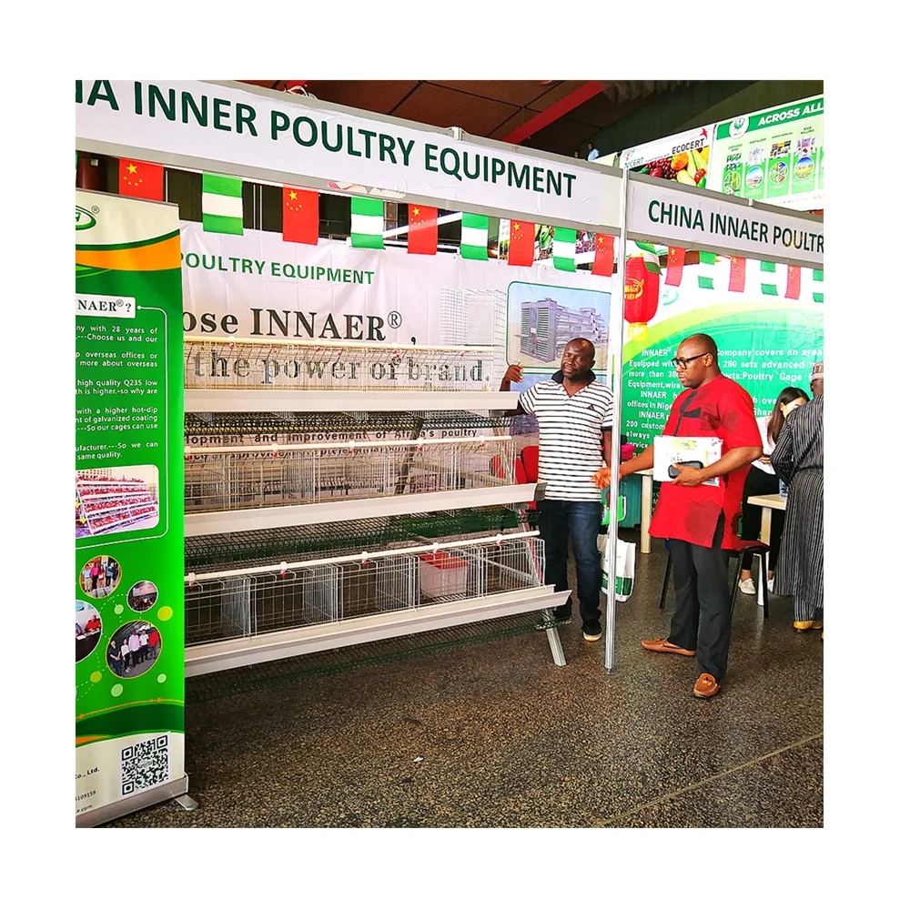 A hen cage for chicken farm Nigeria and Ghana in Africa