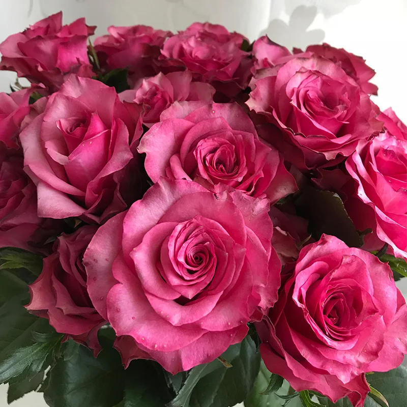 
Fresh flower suppliers flower arrangements cheap flowers red rose 