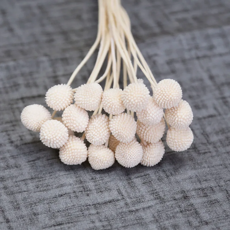 Preserved Flower Craspedia Wholesale Preserved Foliage Preserved billy ball