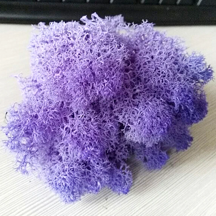 
500g Big Package Preserved Moss Wholesale From China Use To Make Moss Wall 