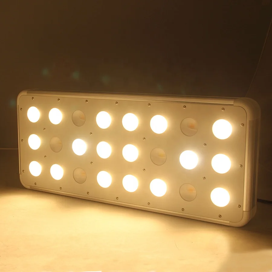 2019 best hydroponic true full spectrum CRI 97 led grow light for indoor and greenhouse lighting 600w Crees cob led grow light