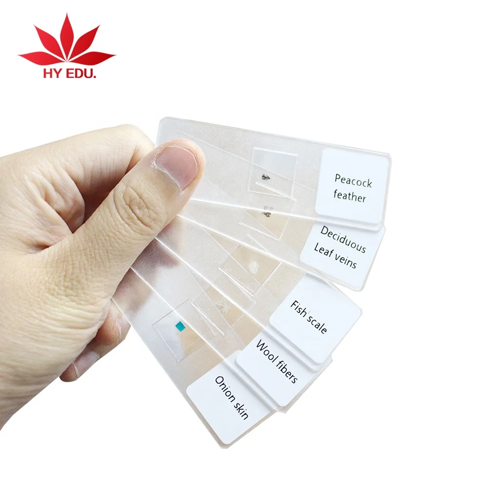 Hot selling child plastic teaching toys plastic prepared slides for microscope