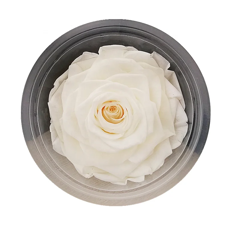 Best Price 9-10cm White Fresh Rose Head Eternal Flower In Box For Wedding Gifts For Guests