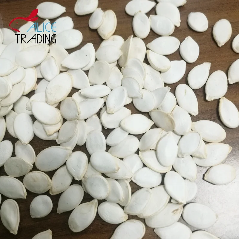 Оптом белоснежные семена тыквы из Китая