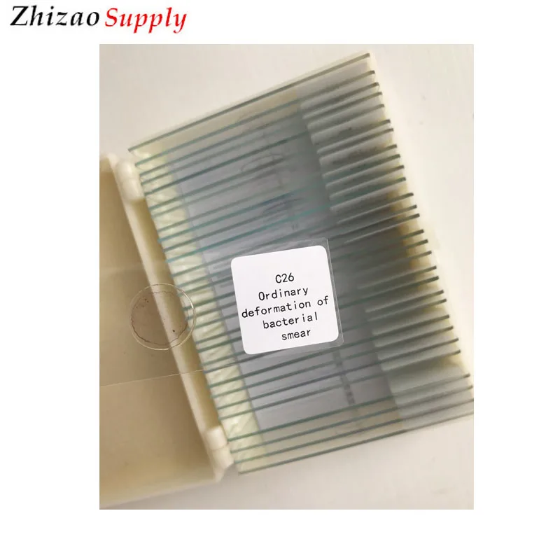 Медицинские студенческие микробиологические бактерии образовательные подготовленные слайды 30 шт