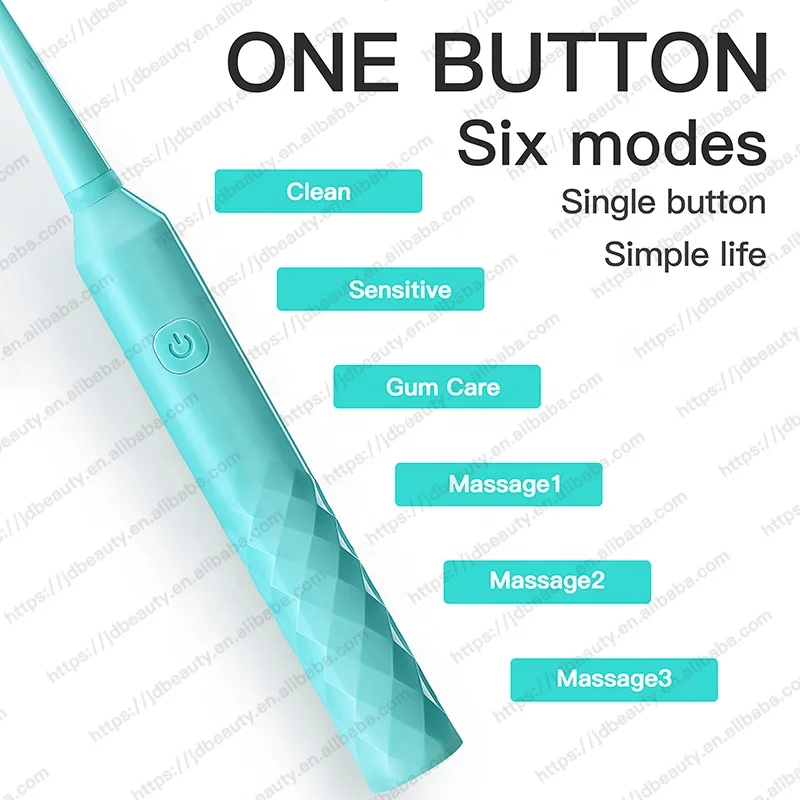 Wholesale PT4S Adult Slim Waterproof Automatic Sonic Electric Vibration USB Charging Rechargeable Toothbrush OEM