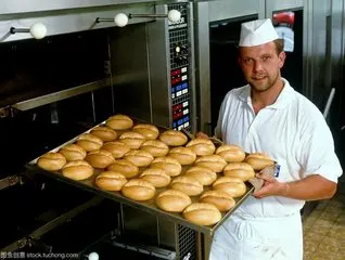 
Electric Bakery Cookies Pizza Oven With Lava Rock Tray 