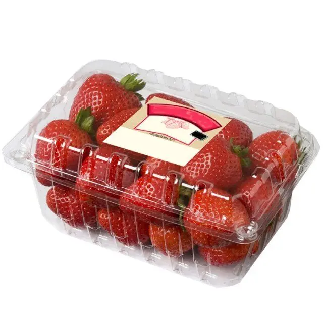 Custom Clear Fruit Punnet Disposable PET Plastic Strawberry Clamshell Packaging Box