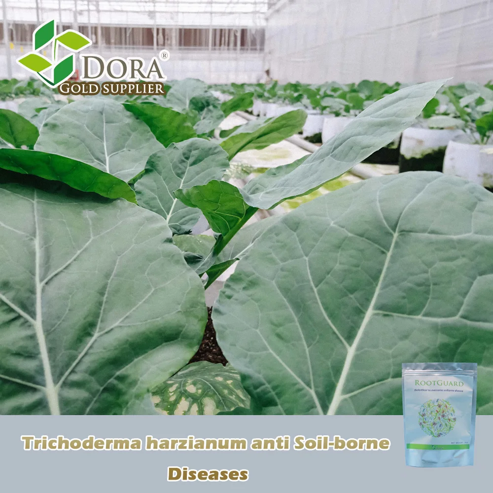 Advanced Trichoderma Products Using Natural Own Gift for Every Challenges