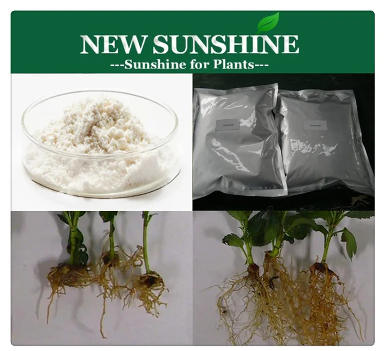 Hot Sale Indole-3-butyric acid IBA 99%TC Plant Growth Regulator