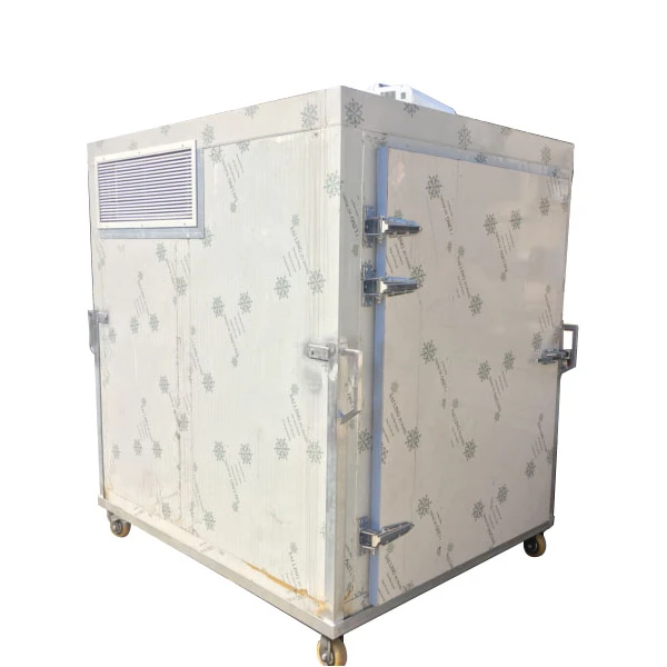 
DC Fish/Meat/ Milk Mobile Mini Cold Storage Room for Pickup Truck/Ice cream Van 