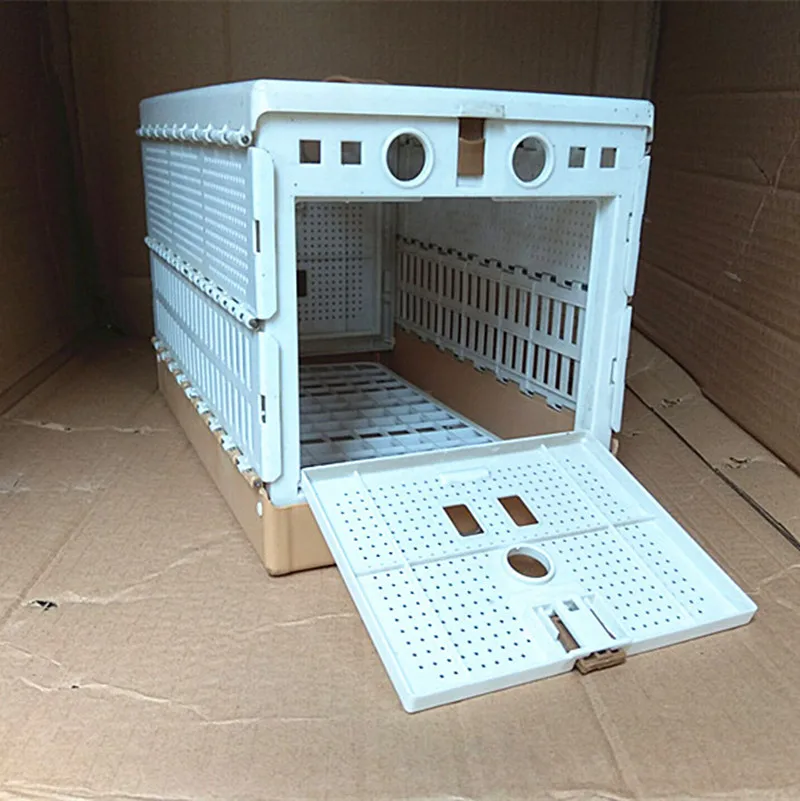 Racing Pigeon Transporter For Sale