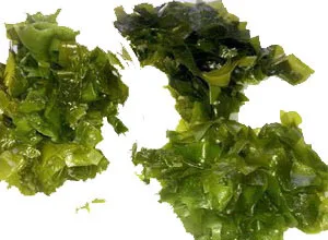 Pure Brown Seaweed Extract for Agriculture