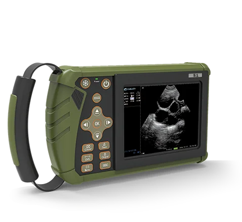 Palm new design DW-VET6 horse and cattle equipment, ultrasound pregnancy test for veterinary