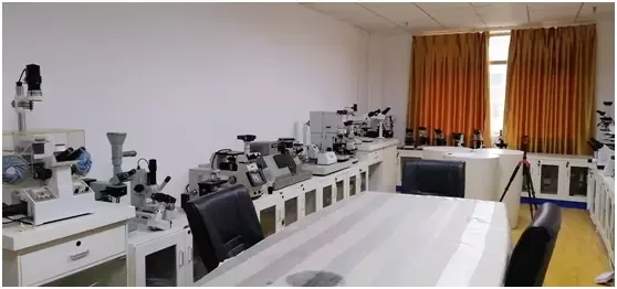 
ESW SW200i Five-Person Viewing Microscope(three/five/ten people viewing device is optional) 