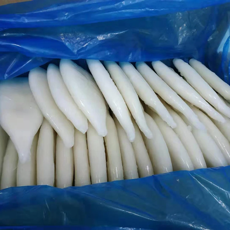wholesale Fresh frozen squid for sale squid supplier squid tube