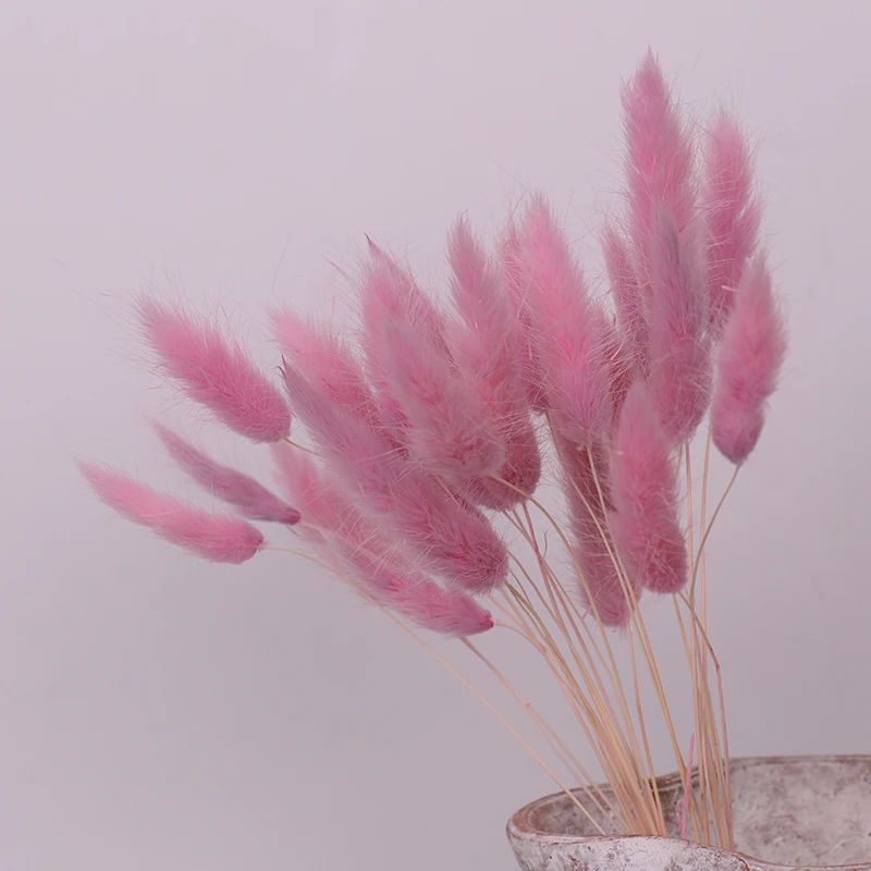 
Party dried flower art flower Lagurus ovatus ornament dried tail grass 