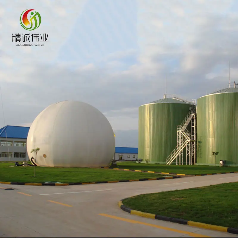 
biogas plant complete set equipments 